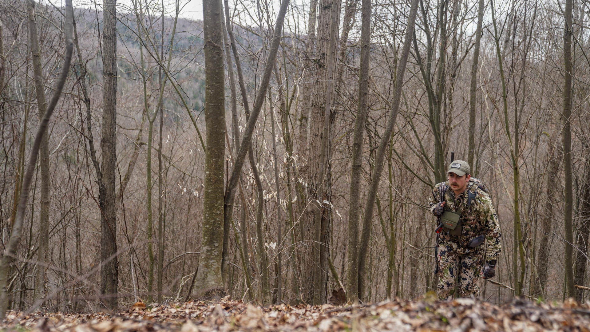 Why Are Wild Turkey Populations Declining, and What Can We Do To Help?